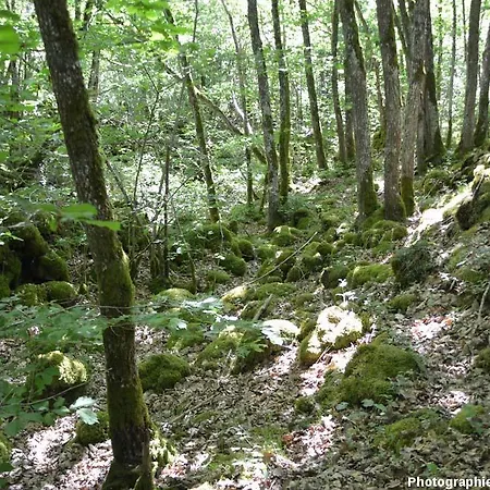 Inn Entre Lacs Et Volcans 3*